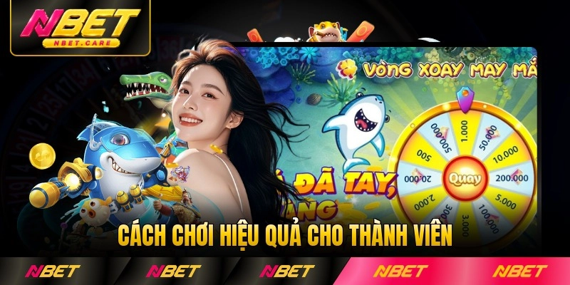 Cách chơi hiệu quả cho thành viên mới Nbet